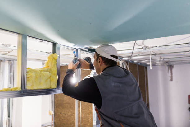 Best Spray Foam Insulation in Celina, TX