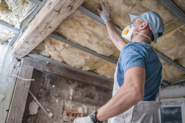 Best Spray Foam Insulation in Celina, TX