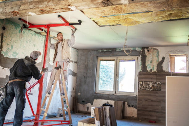 Types of Insulation We Offer in Celina, TX