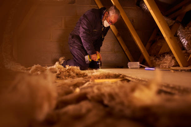 Best Spray Foam Insulation in Celina, TX